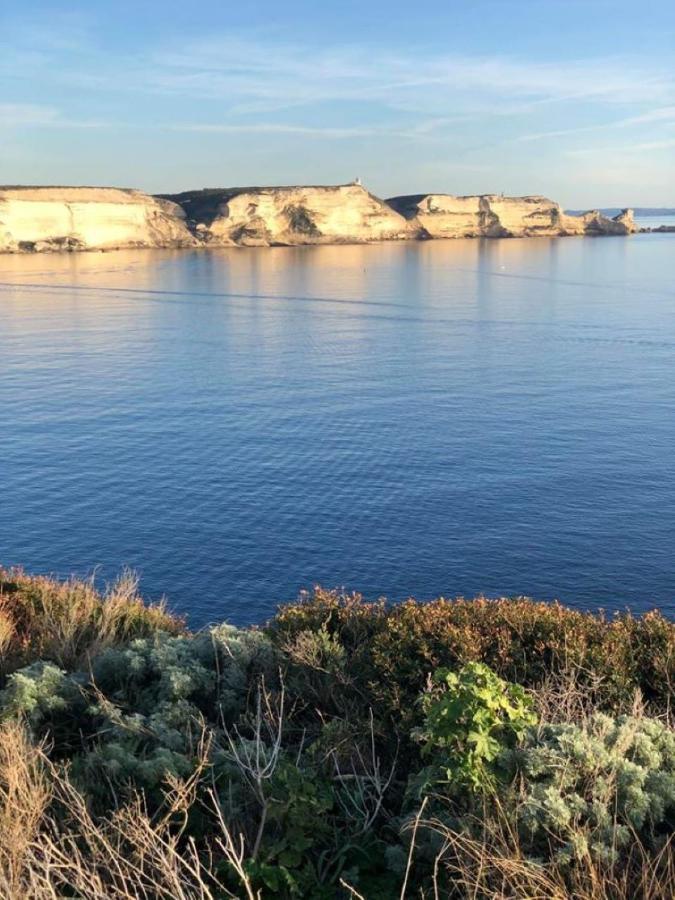 Camping L'Oso Porto-Vecchio  Dış mekan fotoğraf