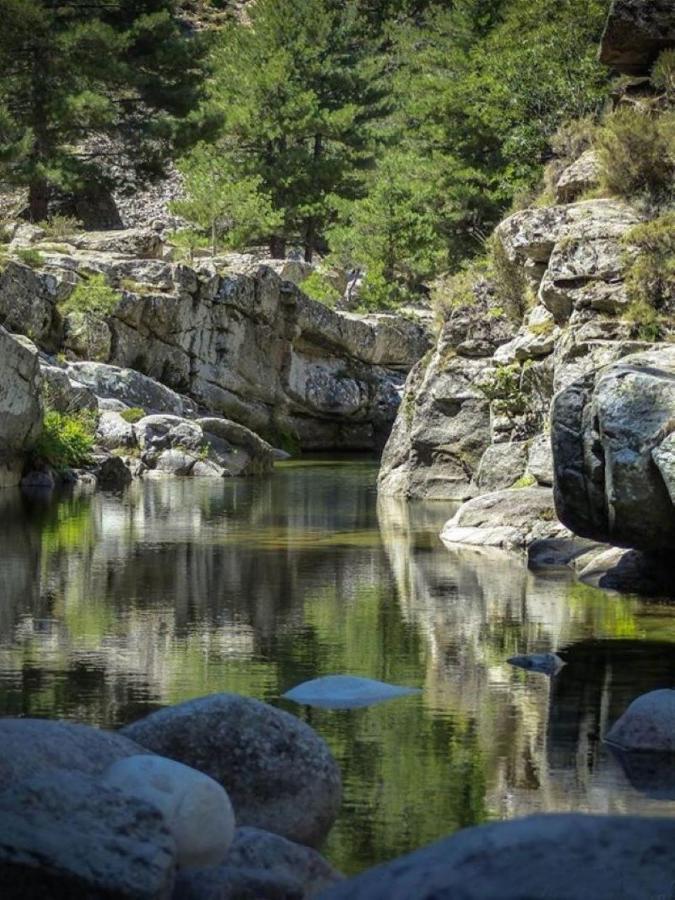 Camping L'Oso Porto-Vecchio  Dış mekan fotoğraf