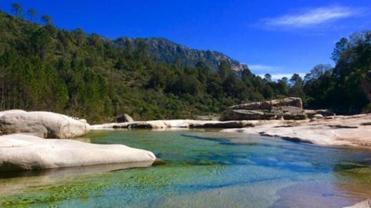 Camping L'Oso Porto-Vecchio  Dış mekan fotoğraf