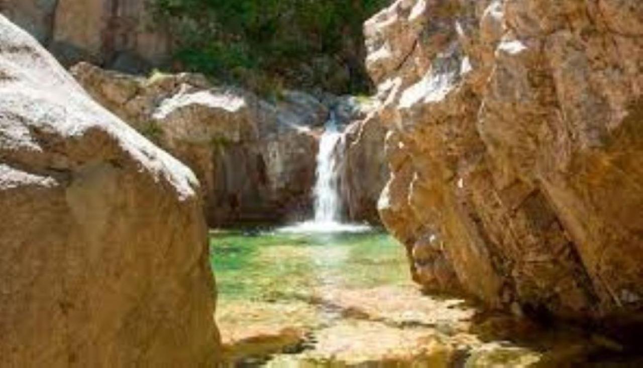Camping L'Oso Porto-Vecchio  Dış mekan fotoğraf